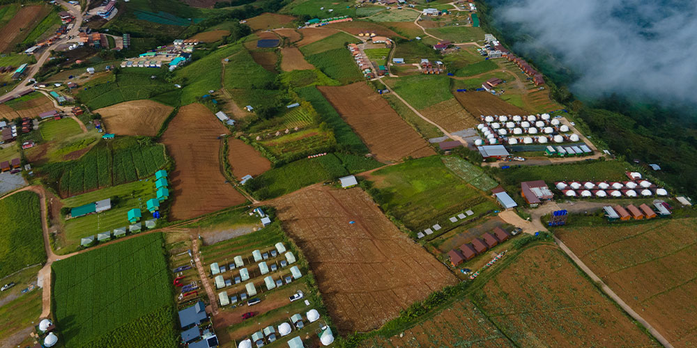 Zhejiang Honghuiyuan Import & Export Co., Ltd.