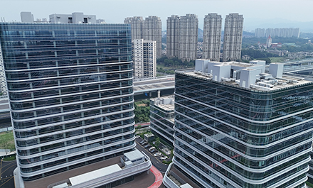 Zhejiang Honghuiyuan Import & Export Co., Ltd.